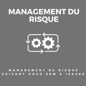 Management du Risque, Coso Erm, ISA400 bj